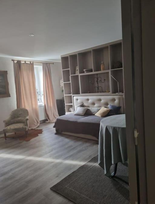 Epinal Apartment | L'Ourse, Epinal,très bel appartement quartier Port