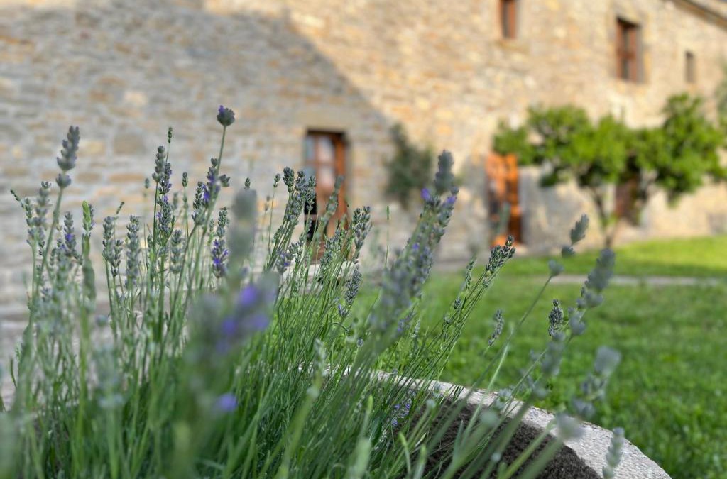 Coscojuela de Sobrarbe House | La Abadia