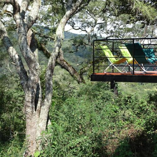 Raco House | LA AGÜITA PERDIDA