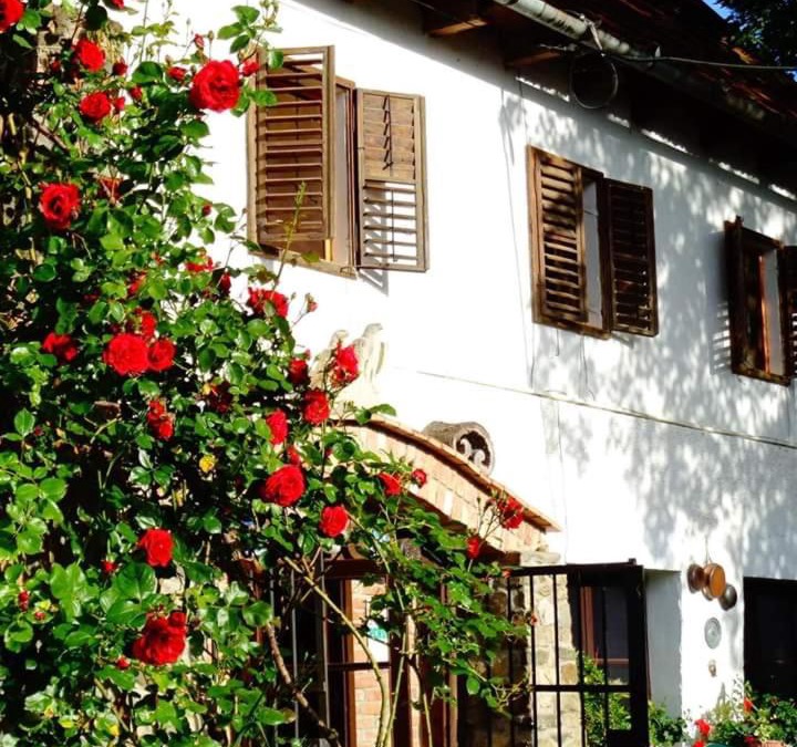 Ghioroc House | LA Amadeus & Monica