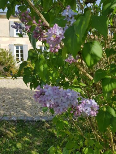 Soussans House | La bastide de Margaux