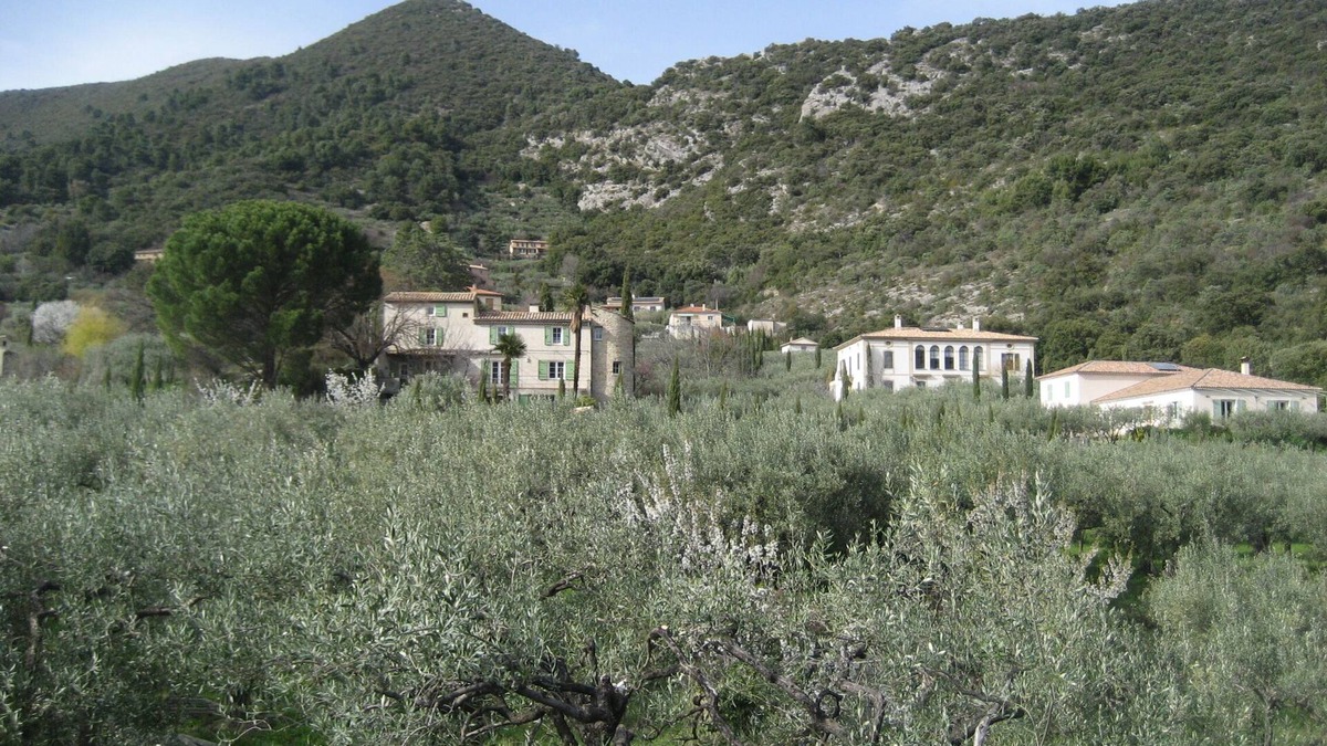 Nyons Bed & Breakfast | La Belle Etoile, a private room of 35 m² in an olive grove in Nyons