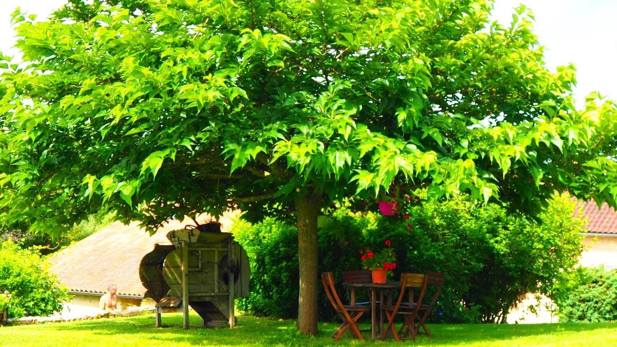 Grignols Bed & Breakfast | La Belle Verte