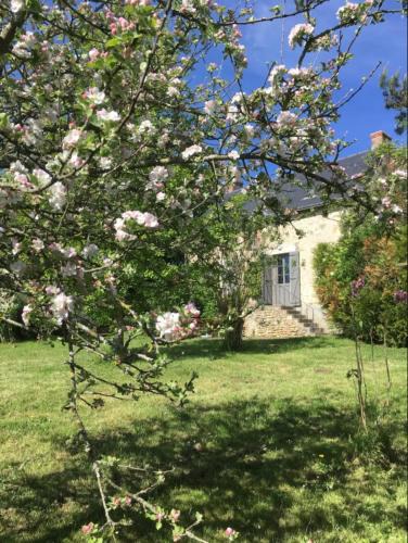Ceaulmont House | La bergerie - Point de vue sur la Creuse