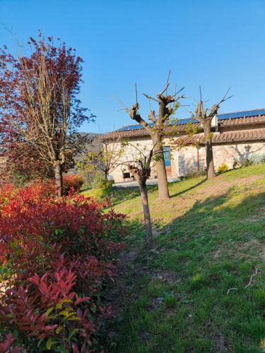 Acqua Loreto House | La Bottega di Torreluca