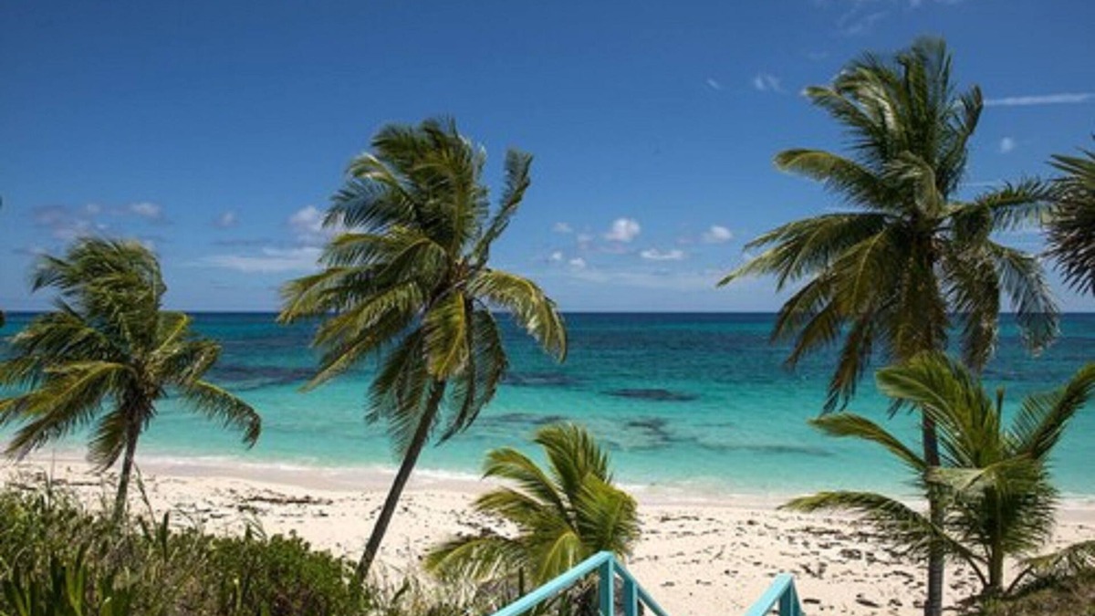 North Palmetto Point Hotel | La Bougainvillea Hotel and Villas