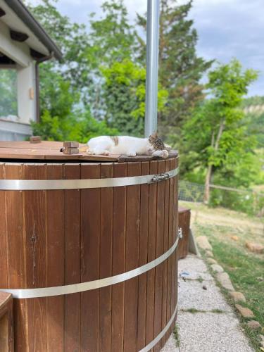 Monteleone Bed & Breakfast | La Cà di Gatt
