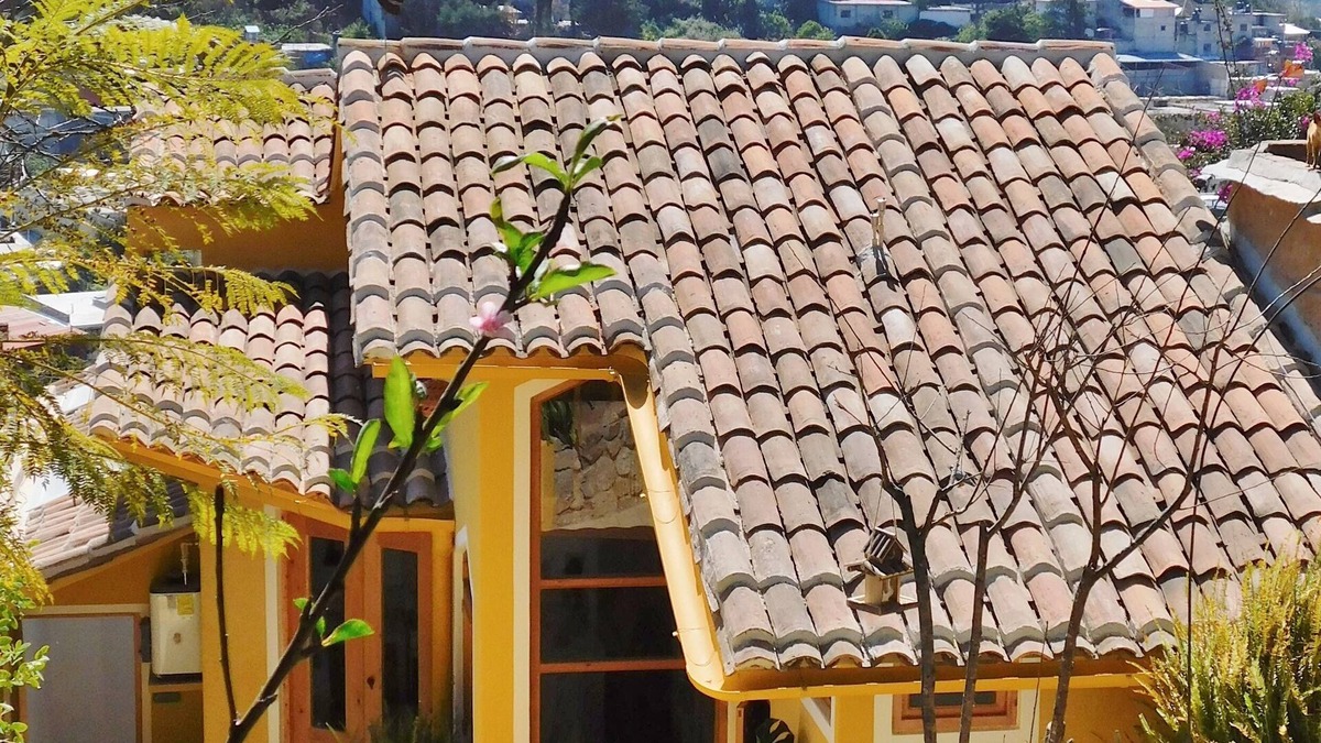 De Guadalupe House | La Casa de las Aves - Maison D'architecte - Vue Incroyable & Jardin