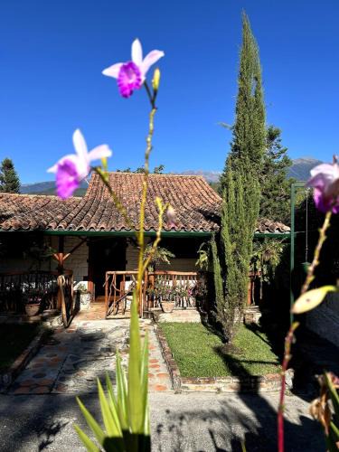 Mérida House | La Cabaña del Abuelo