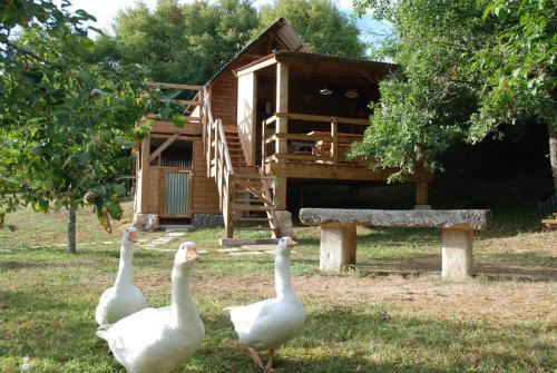 Salives Other | La Cabane Du Verger