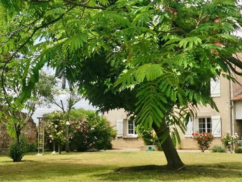 Sauveterre-Saint-Denis Bed & Breakfast | La Canolière - Chambre d'hôtes Olivia