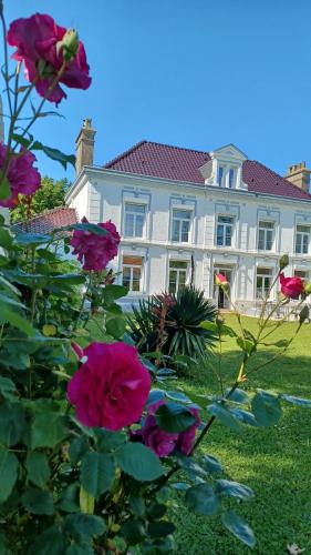Oye-Plage Bed & Breakfast | La Carte Postale