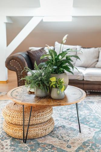 Willing Apartment | La Casa Bonita