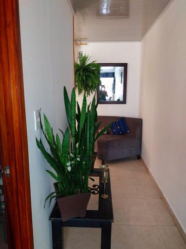 Pijao Apartment | La Casa de Doña Gilma en Pijao