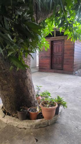 San Pedro Sula House | LA CASA DE DON MATILDE h3