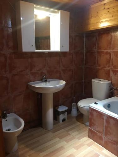Frama Apartment | La casa de los gatos