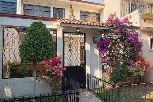 Tlahuac House | La casa de Tita, en el sur de la Ciudad de México.