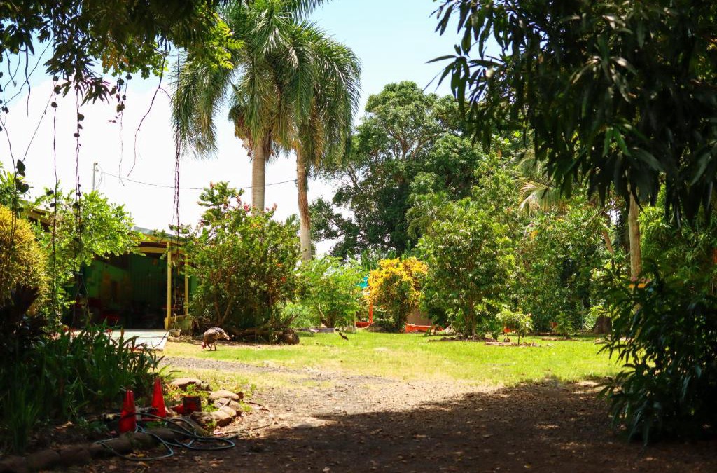 Guzman Abajo Bed & Breakfast | La Casa de Vida Natural