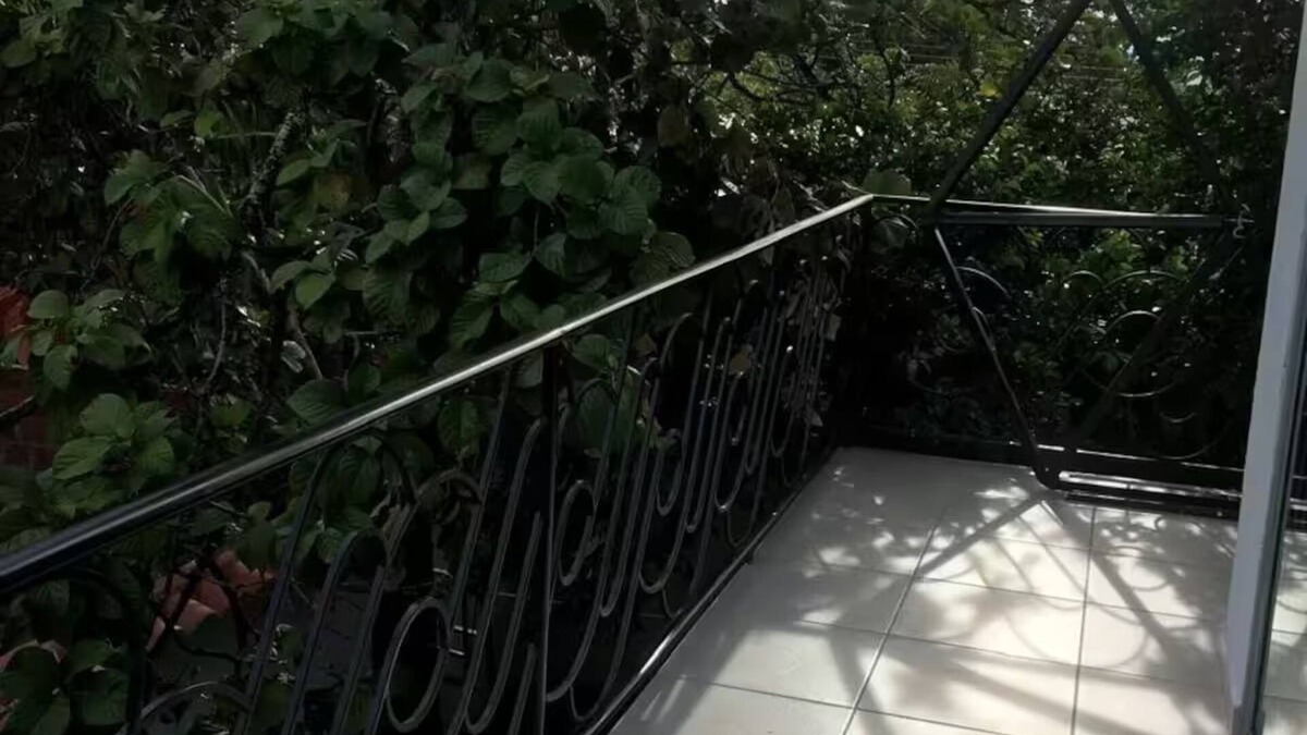 Armero Apartment | La casa del árbol