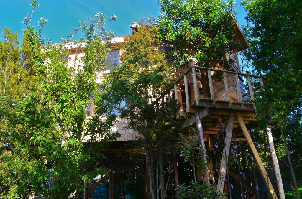 Nercon House | La Casa Del Árbol De Chiloé
