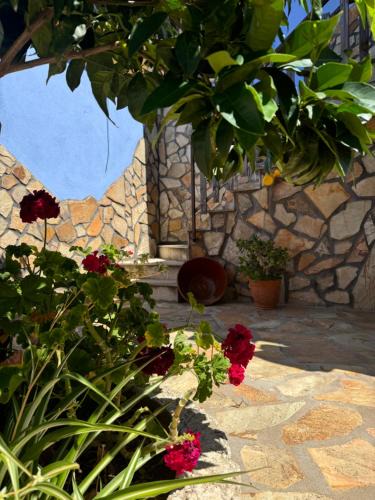 Rincon de Ballesteros House | La Casa del Pueblo con piscina y barbacoa