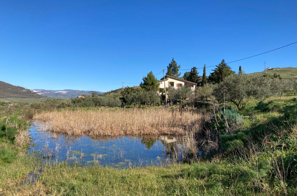 Gagliano Castelferrato Cabin | La Casa Delle Olive
