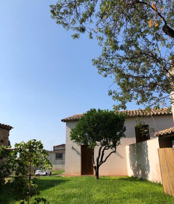 Locri House | La Casa del mandarino di Borgo Carbone
