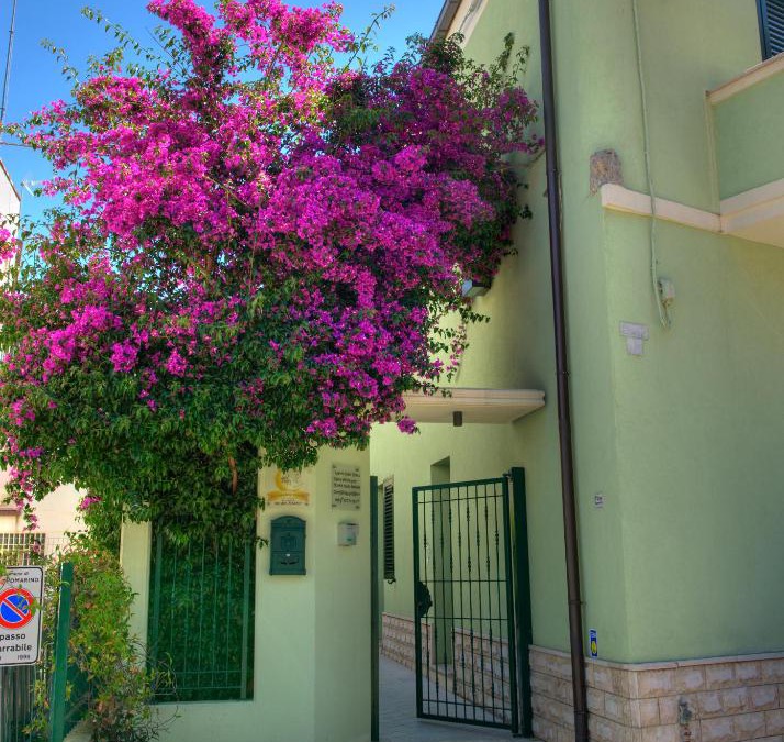 Campomarino Bed & Breakfast | La Casa Del Nonno