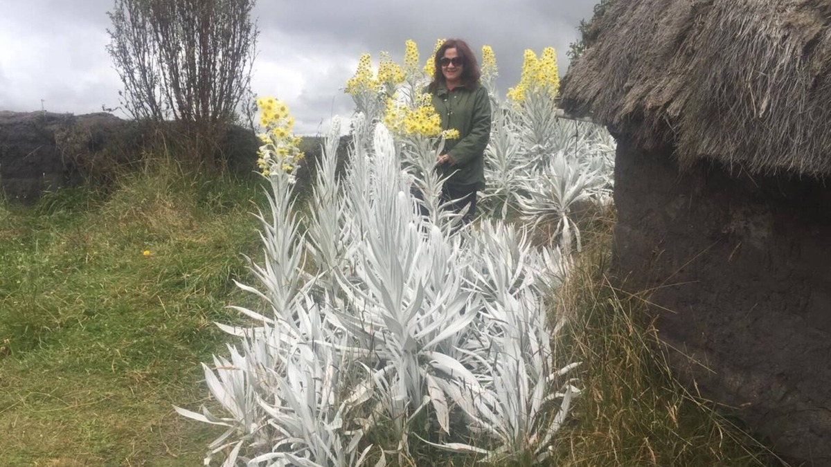 Chimborazo Province House | LA CASA DEL PARQUE RIOBAMBA
