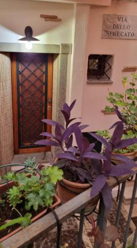 Fiuggi Apartment | La casa di Agnese