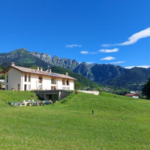 Pedavena House | La casa di Maia - Alloggio Agrituristico