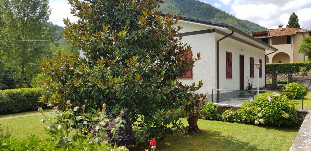 Piegaio Basso House | La Casa di Marta