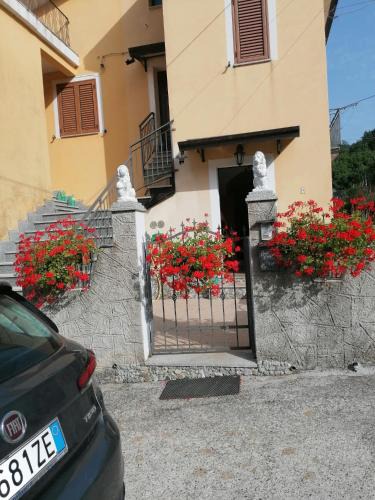 Latronico House | La casa di Pina