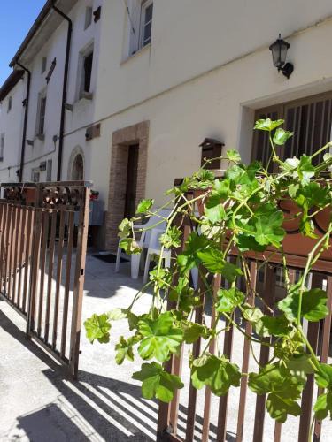 Ateleta Apartment | La Casa di Romeo