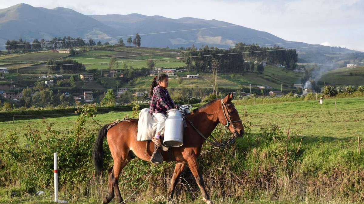 San Antonio de Pichincha House | La Casa de Campo