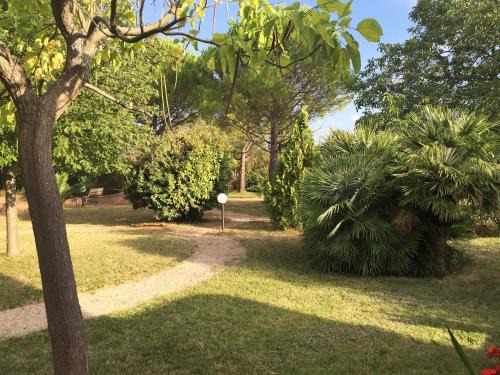 Larino Bed & Breakfast | La Casa nel Verde