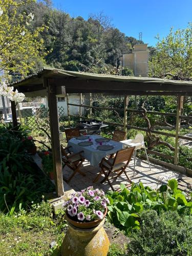Cavi House | La casa nel verde
