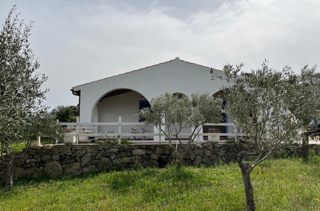 Berchidda House | La casa nell'oliveto
