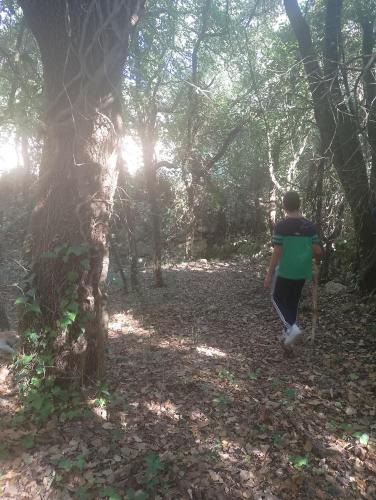 Noto Historic Centre House | La Casetta Nel Bosco Delle Nereidi