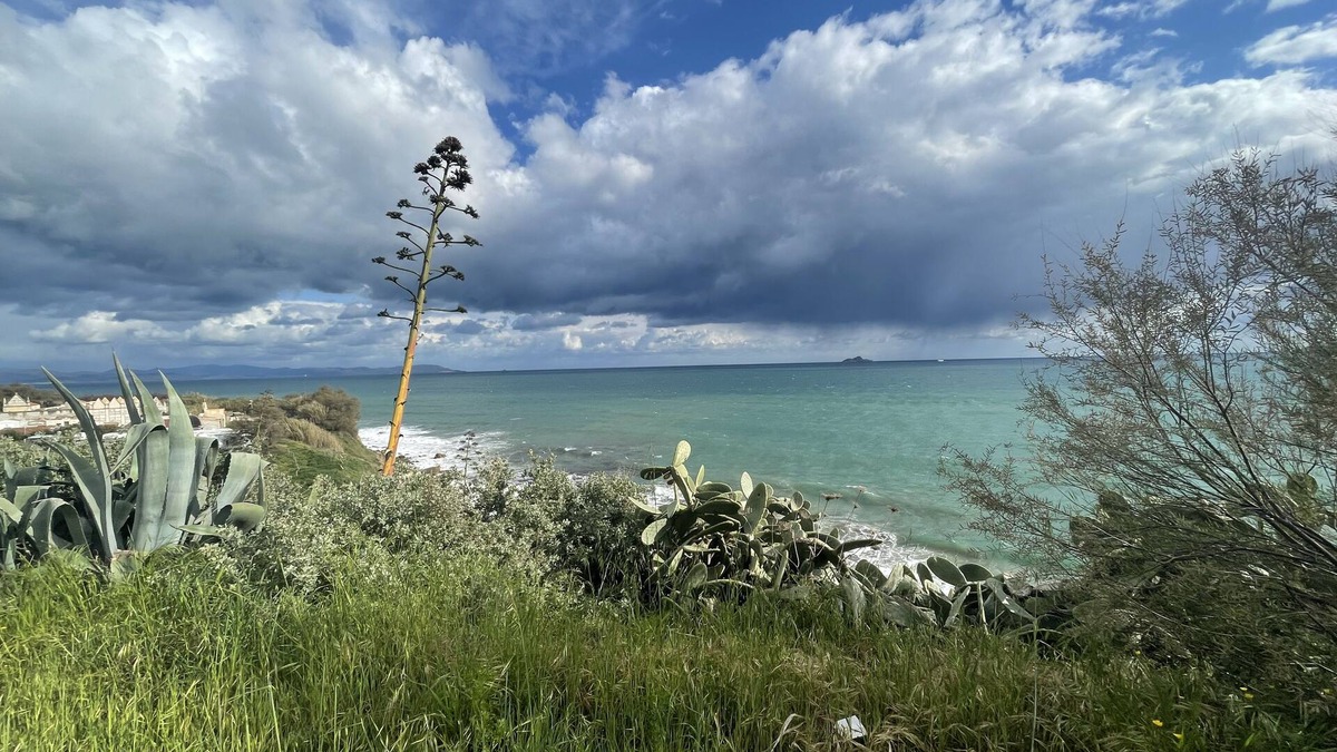 Piombino Apartment | La Casina in Piombino