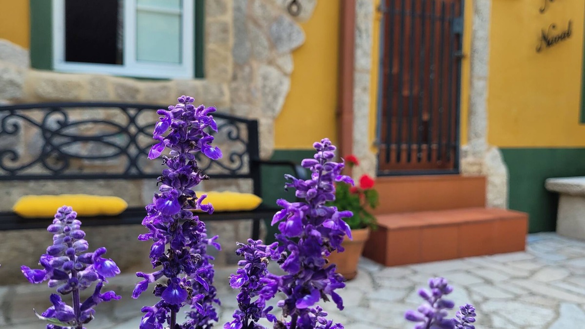 Morana House | La Casita A de Naval in the Rías Baixas, Pontevedra (activities for customers)