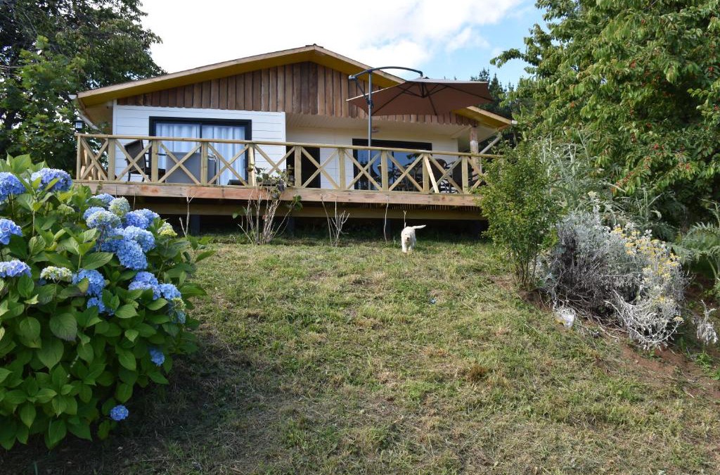 Llifen House | La Casita Amarilla
