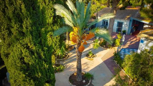 Los Banos de Fortuna House | la casita de invitados