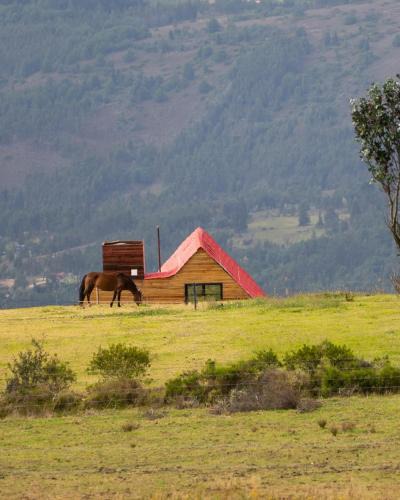 Tibasosa House | la cima de los frailejones