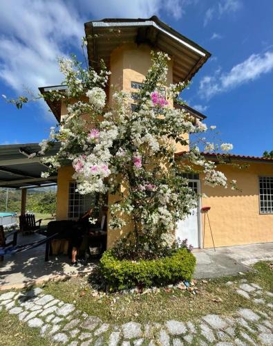 El Palmar Ski Chalet | La Cima del Cielo