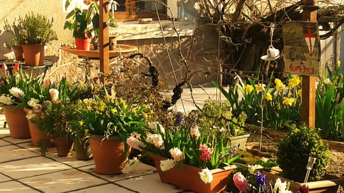 Nouatre Bed & Breakfast | La clé des jardins