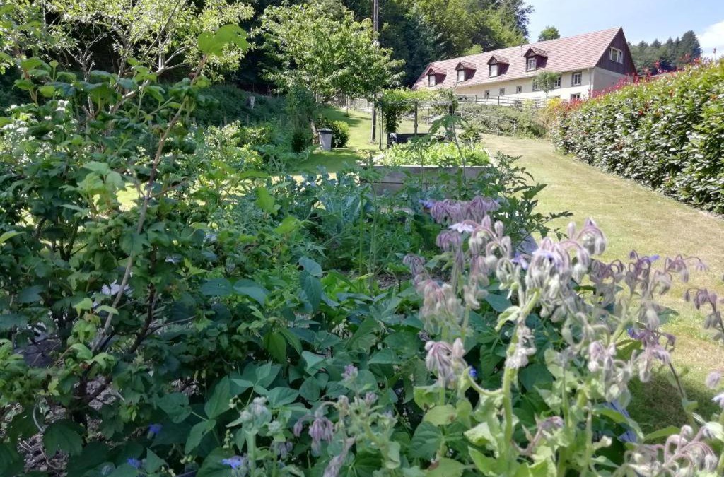 Urbeis Bed & Breakfast | LA CLIMONTAINE