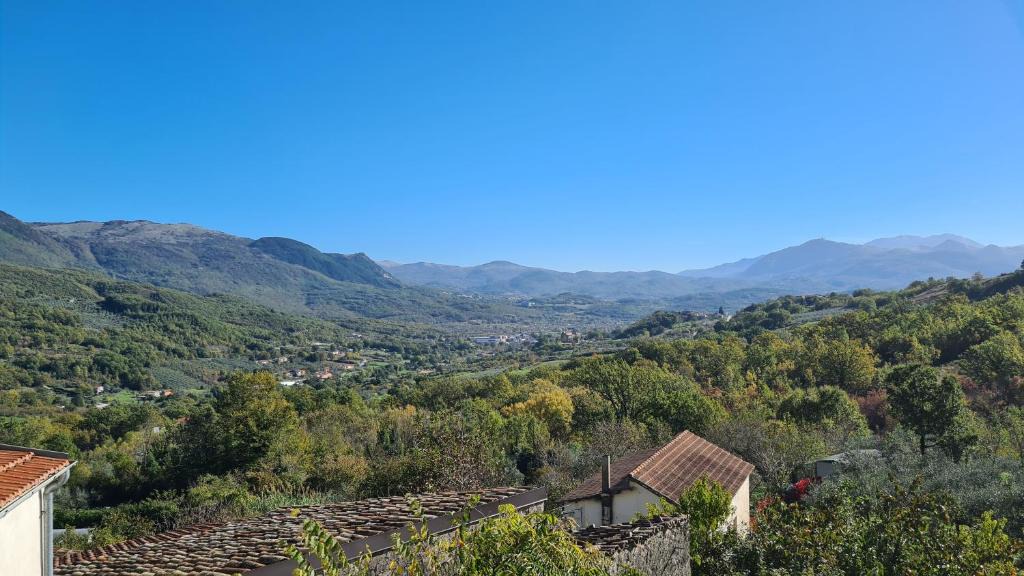 Isernia House | La collina degli ulivi