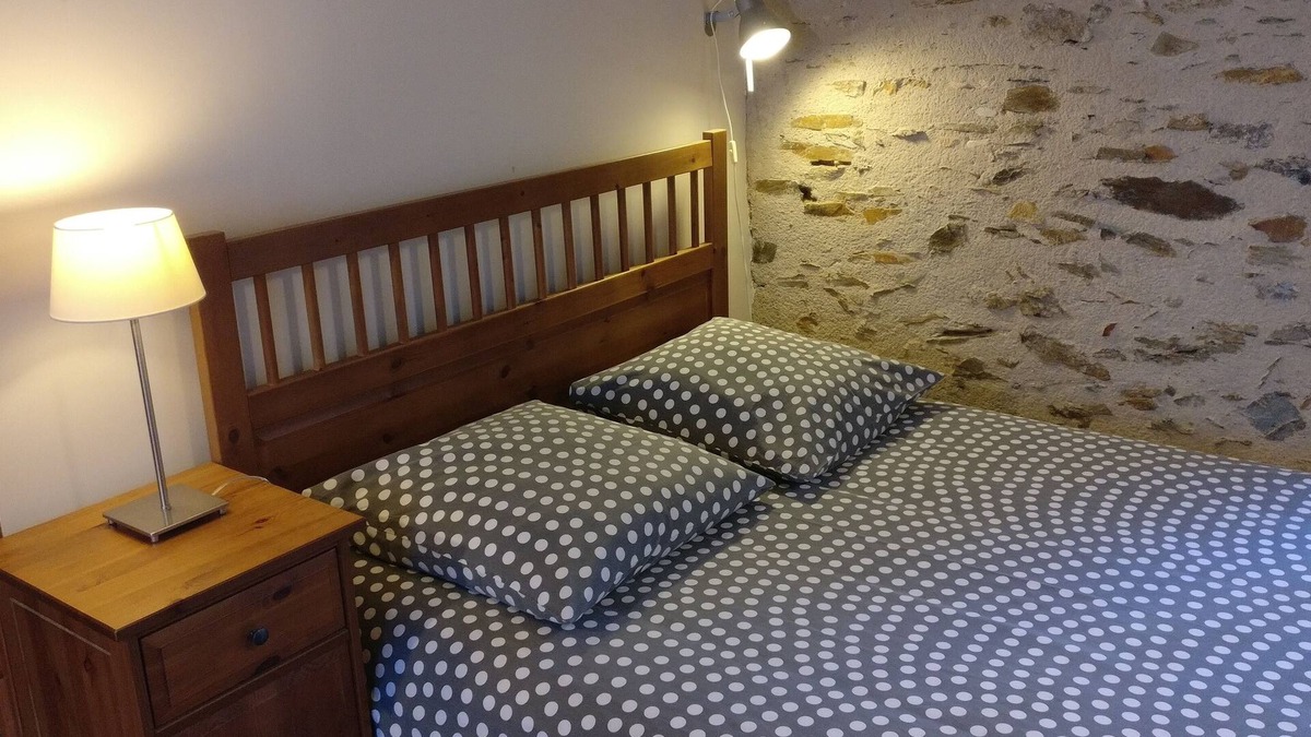 Downtown Angers Apartment | La Cour - Nice quiet apartment in town center, free parking