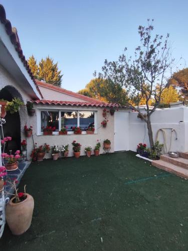 Navas del Rey Cabin | La Cubertilla en Madrid